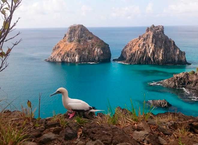 brsub-viagem-fernando-de-noronha-2